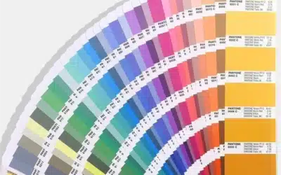 Custom Pantone Color Matching: How Factory Color Programs Work